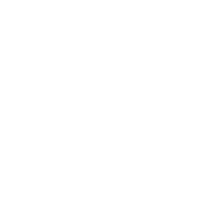 Buen Amigo