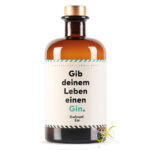 Flaschenpost Gin "Gib deinem Leben einen Gin" 41% Vol. 0,5l