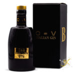EVO Italian Black Gin 47% Vol. 0,7l
