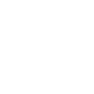Santos Dumont