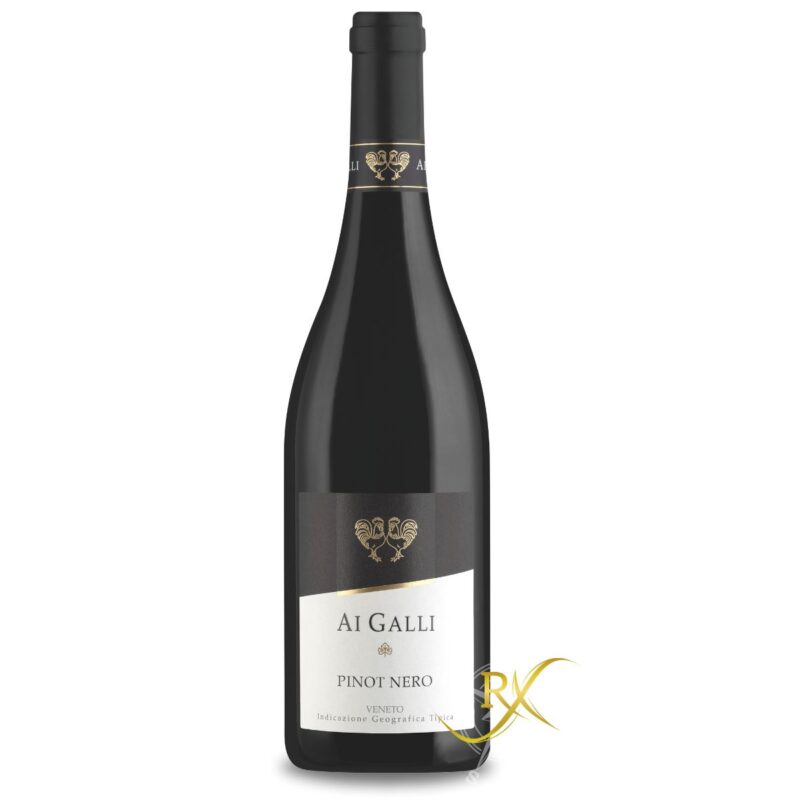 Ai Galli Pinot Nero Veneto IGT 2024 13% Vol. 0,75l