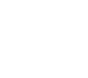 Polot 1882