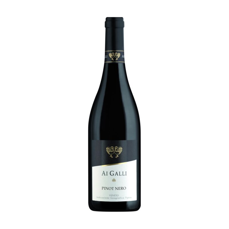Ai Galli Pinot Nero Veneto IGT 2024 13% Vol. 0,75l
