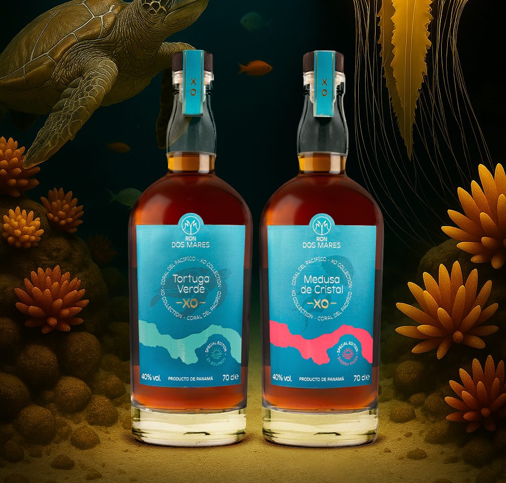 Die XO Collection vor einer Unterwasserkulisse mit Schildkröte und Qualle