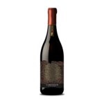 AYAMA Carignan Premium 2022 14% Vol. 0,75l