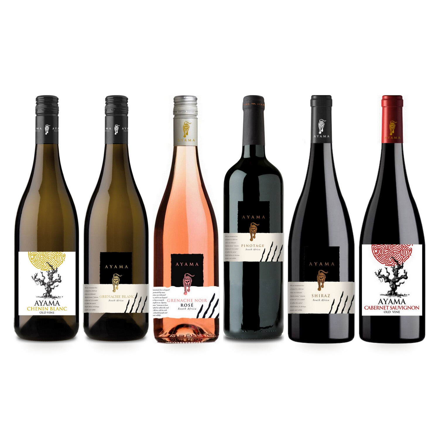 AYAMA Weinpaket Südafrika – sechs Weine